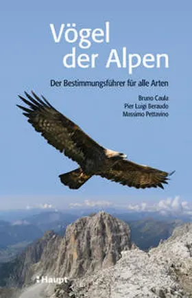 Caula / Beraudo / Pettavino |  Vögel der Alpen | Buch |  Sack Fachmedien
