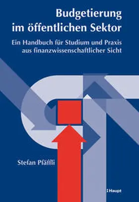 Pfäffli |  Budgetierung im öffentlichen Sektor | Buch |  Sack Fachmedien