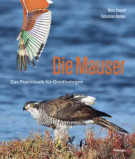 Duquet / Reeber |  Die Mauser | Buch |  Sack Fachmedien