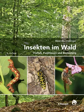 Wermelinger |  Insekten im Wald | Buch |  Sack Fachmedien