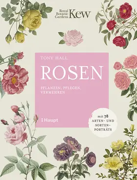 Hall |  Rosen | Buch |  Sack Fachmedien