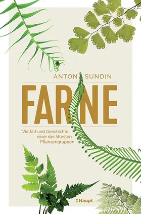 Sundin |  Farne | Buch |  Sack Fachmedien