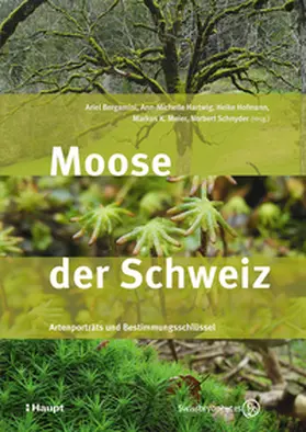 Bergamini / Hartwig / Hofmann |  Moose der Schweiz | Buch |  Sack Fachmedien