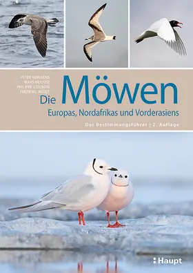 Adriaens / Muusse / Dubois |  Die Möwen Europas, Nordafrikas und Vorderasiens | Buch |  Sack Fachmedien