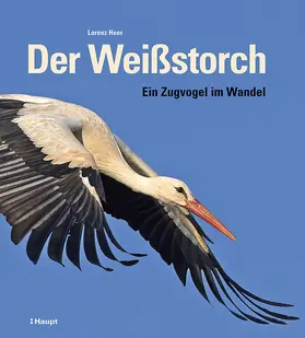 Heer | Der Weißstorch | Buch | 978-3-258-08354-4 | sack.de
