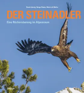 Jenny / Denis / Haller |  Der Steinadler | Buch |  Sack Fachmedien