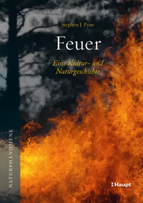 Pyne |  Feuer | Buch |  Sack Fachmedien