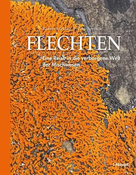 Lücking / Spribille |  Flechten | Buch |  Sack Fachmedien