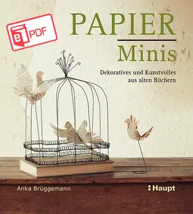 Brüggemann |  Papier-Minis (PDF) | eBook | Sack Fachmedien