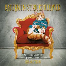 Stern |  Katzen im Strickpullover | Buch |  Sack Fachmedien