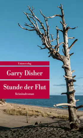 Disher |  Stunde der Flut | Buch |  Sack Fachmedien