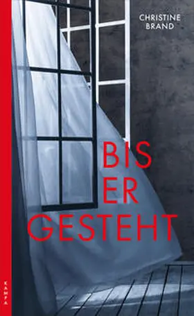 Brand | Bis er gesteht | Buch | 978-3-311-12038-4 | www2.sack.de