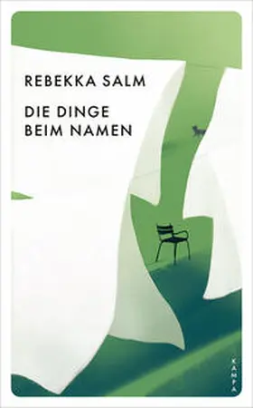 Salm | Die Dinge beim Namen | Buch | 978-3-311-15079-4 | www2.sack.de