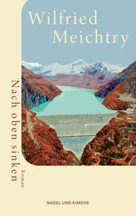Meichtry |  Nach oben sinken | Buch |  Sack Fachmedien