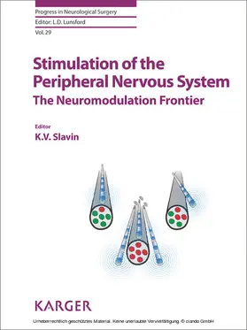 Slavin |  Stimulation of the Peripheral Nervous System | eBook | Sack Fachmedien