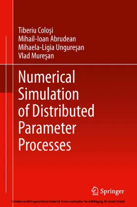Colosi / Abrudean / Unguresan | Numerical Simulation of Distributed Parameter Processes | E-Book | sack.de