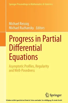 Reissig / Ruzhansky |  Progress in Partial Differential Equations | eBook | Sack Fachmedien