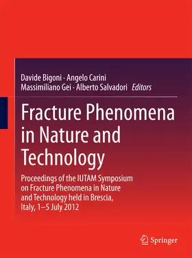 Bigoni / Carini / Gei |  Fracture Phenomena in Nature and Technology | eBook | Sack Fachmedien