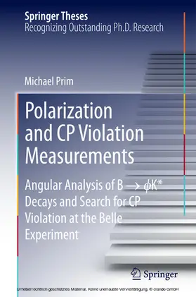 Prim | Polarization and CP Violation Measurements | E-Book | sack.de
