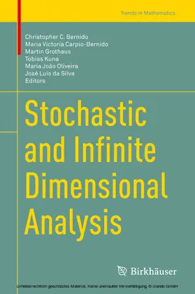 Bernido / Carpio-Bernido / Grothaus |  Stochastic and Infinite Dimensional Analysis | eBook | Sack Fachmedien