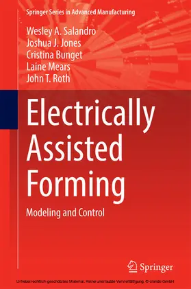 Salandro / Jones / Bunget |  Electrically Assisted Forming | eBook | Sack Fachmedien