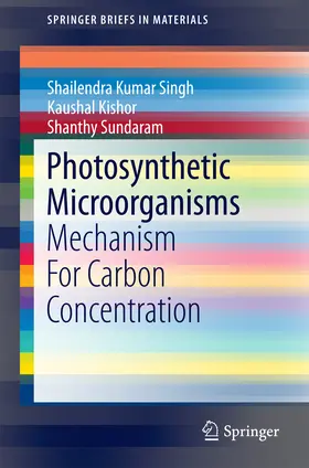 Singh / Sundaram / Kishor | Photosynthetic Microorganisms | E-Book | sack.de