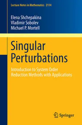 Shchepakina / Sobolev / Mortell | Singular Perturbations | E-Book | sack.de