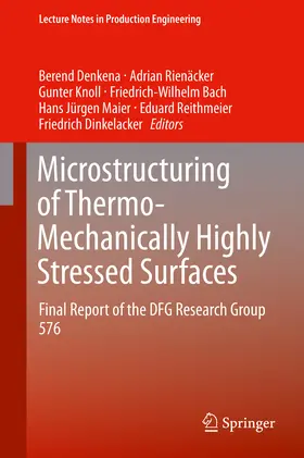 Denkena / Rienäcker / Knoll |  Microstructuring of Thermo-Mechanically Highly Stressed Surfaces | eBook | Sack Fachmedien