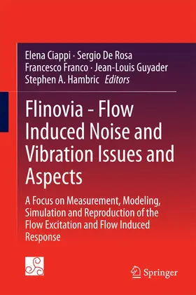 Ciappi / De Rosa / Franco |  Flinovia - Flow Induced Noise and Vibration Issues and Aspects | eBook | Sack Fachmedien