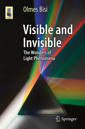 Bisi |  Visible and Invisible | eBook | Sack Fachmedien
