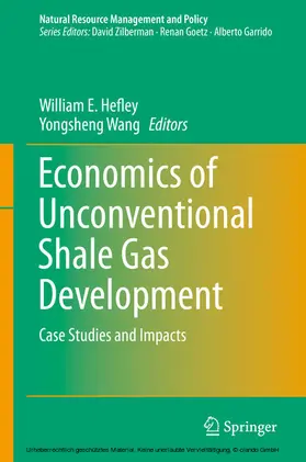 Hefley / Wang |  Economics of Unconventional Shale Gas Development | eBook | Sack Fachmedien