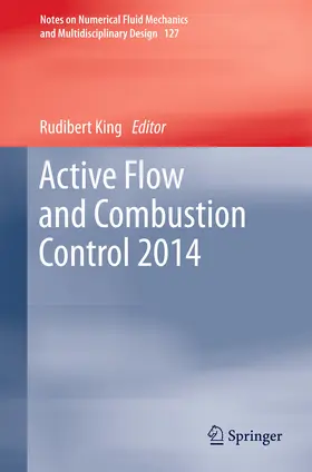 King |  Active Flow and Combustion Control 2014 | eBook | Sack Fachmedien