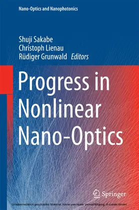 Sakabe / Lienau / Grunwald |  Progress in Nonlinear Nano-Optics | eBook | Sack Fachmedien