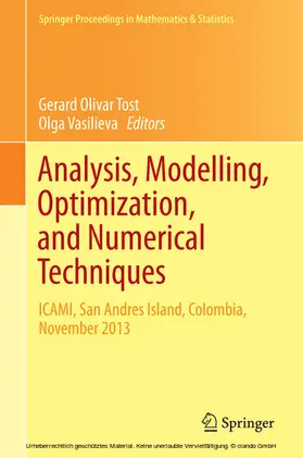 Tost / Vasilieva | Analysis, Modelling, Optimization, and Numerical Techniques | E-Book | sack.de