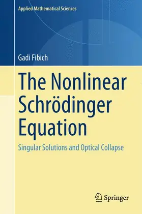 Fibich | The Nonlinear Schrödinger Equation | Buch | 978-3-319-12747-7 | sack.de