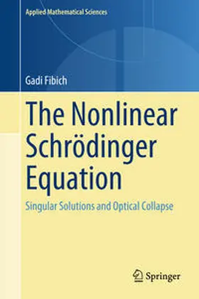 Fibich |  The Nonlinear Schrödinger Equation | eBook | Sack Fachmedien