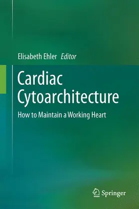 Ehler |  Cardiac Cytoarchitecture | Buch |  Sack Fachmedien