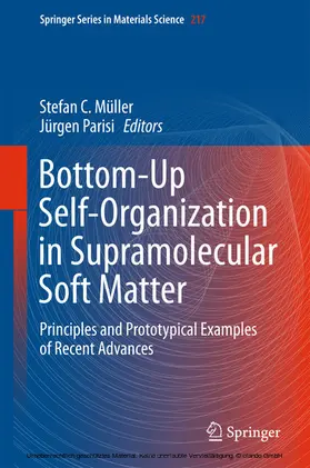 Müller / Parisi | Bottom-Up Self-Organization in Supramolecular Soft Matter | E-Book | sack.de