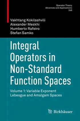 Kokilashvili / Meskhi / Rafeiro | Integral Operators in Non-Standard Function Spaces | E-Book | sack.de