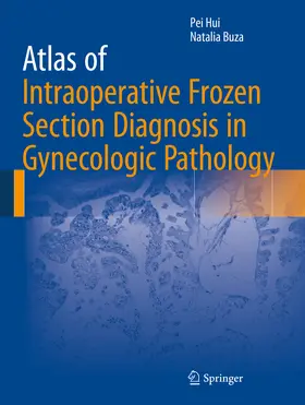 Hui / Buza |  Atlas of Intraoperative Frozen Section Diagnosis in Gynecologic Pathology | eBook | Sack Fachmedien