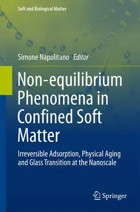 Napolitano |  Non-equilibrium Phenomena in Confined Soft Matter | Buch |  Sack Fachmedien