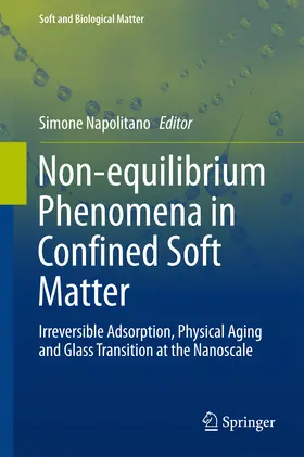 Napolitano | Non-equilibrium Phenomena in Confined Soft Matter | E-Book | sack.de