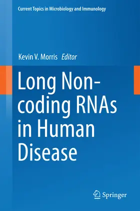 Morris |  Long Non-coding RNAs in Human Disease | eBook | Sack Fachmedien
