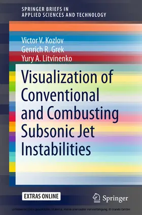Kozlov / Grek / Litvinenko | Visualization of Conventional and Combusting Subsonic Jet Instabilities | E-Book | sack.de