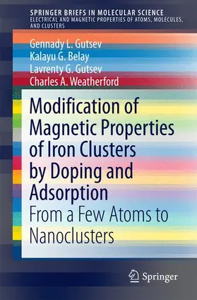 Gutsev / Weatherford / Belay |  Modification of Magnetic Properties of Iron Clusters by Doping and Adsorption | Buch |  Sack Fachmedien