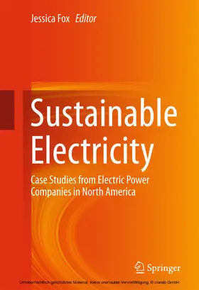 Fox |  Sustainable Electricity | eBook | Sack Fachmedien