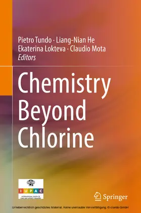 Tundo / He / Lokteva |  Chemistry Beyond Chlorine | eBook | Sack Fachmedien