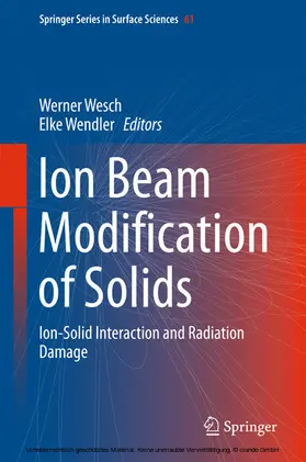 Wesch / Wendler |  Ion Beam Modification of Solids | eBook | Sack Fachmedien