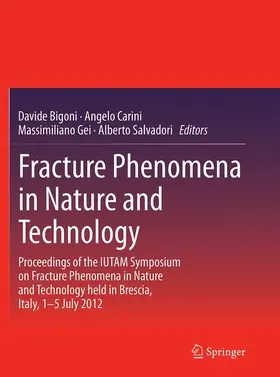 Bigoni / Salvadori / Carini |  Fracture Phenomena in Nature and Technology | Buch |  Sack Fachmedien