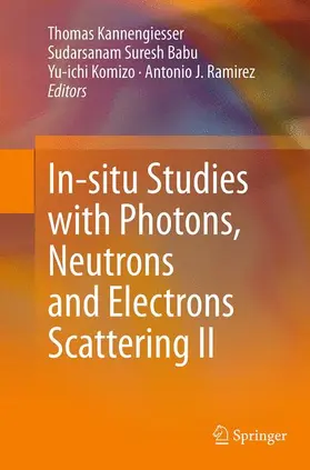 Kannengiesser / Ramirez / Babu |  In-situ Studies with Photons, Neutrons and Electrons Scattering II | Buch |  Sack Fachmedien